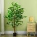 Planta Artificial PEVA HOMCOM, hogar - decoración Planta Artificial PEVA HOMCOM, hogar - decoración Verde