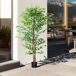 Planta Artificial PEVA HOMCOM Planta Artificial PEVA HOMCOM Verde