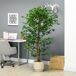 Planta Artificial PEVA HOMCOM Planta Artificial PEVA HOMCOM Verde