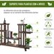Estantería para Planta Madera de Abeto Outsunny Estantería para Planta Madera de Abeto Outsunny Marrón