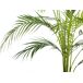 Beliani Planta artificial ARECA PALM Beliani Planta artificial ARECA PALM Verde