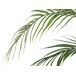 Beliani Planta artificial ARECA PALM Beliani Planta artificial ARECA PALM Verde