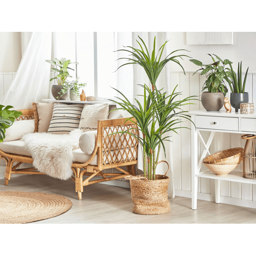 Planta artificial DRACAENA ANITA 147 cm Verde
