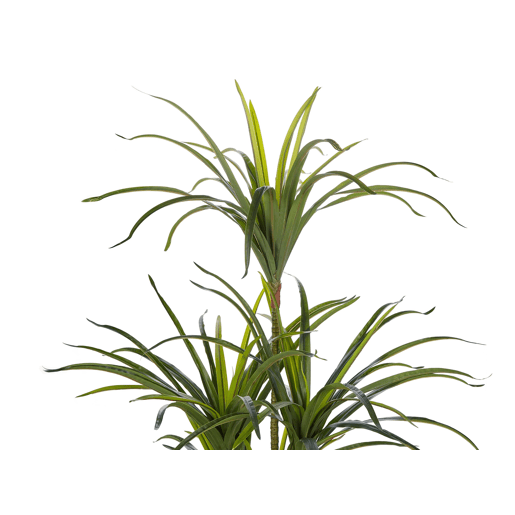 Planta artificial DRACAENA ANITA 147 cm Verde