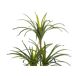 Beliani Planta artificial DRACAENA ANITA Beliani Planta artificial DRACAENA ANITA Verde