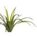 Beliani Planta artificial DRACAENA ANITA Beliani Planta artificial DRACAENA ANITA Verde