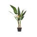 Beliani Planta artificial STRELITZIA TREE Beliani Planta artificial STRELITZIA TREE Verde