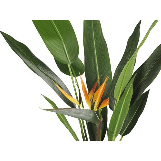 Planta artificial STRELITZIA TREE 115 cm Verde Planta artificial STRELITZIA TREE 115 cm Verde