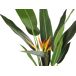 Beliani Planta artificial STRELITZIA TREE Beliani Planta artificial STRELITZIA TREE Verde
