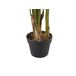 Beliani Planta artificial STRELITZIA TREE Beliani Planta artificial STRELITZIA TREE Verde