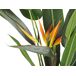 Beliani Planta artificial STRELITZIA TREE Beliani Planta artificial STRELITZIA TREE Verde