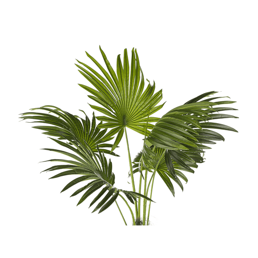 Planta artificial FAN PALM 100 cm Verde