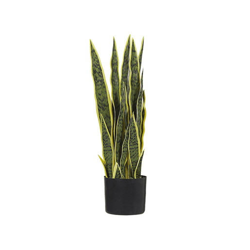 Planta artificial SNAKE PLANT 63 cm Verde Planta artificial SNAKE PLANT 63 cm Verde