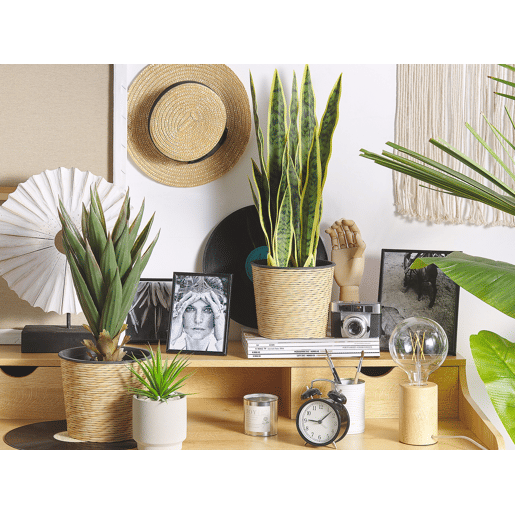 Planta artificial SNAKE PLANT 63 cm Verde Planta artificial SNAKE PLANT 63 cm Verde