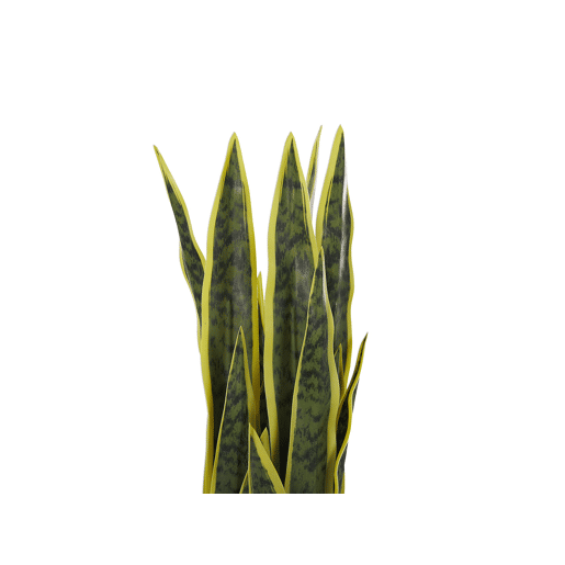 Planta artificial SNAKE PLANT 63 cm Verde Planta artificial SNAKE PLANT 63 cm Verde