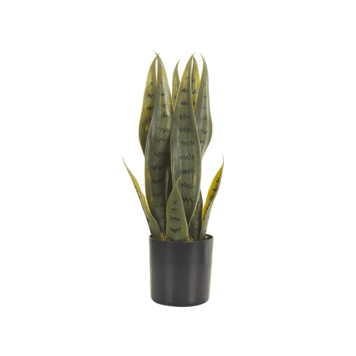 Beliani Planta artificial SNAKE PLANT Beliani Planta artificial SNAKE PLANT