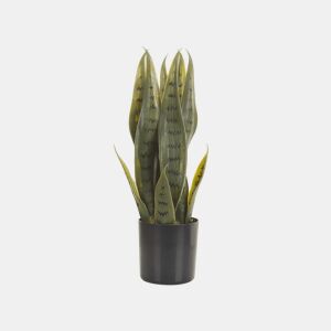 Beliani Planta artificial SNAKE PLANT