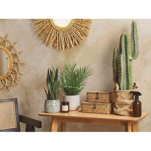 Beliani Planta artificial SNAKE PLANT Beliani Planta artificial SNAKE PLANT