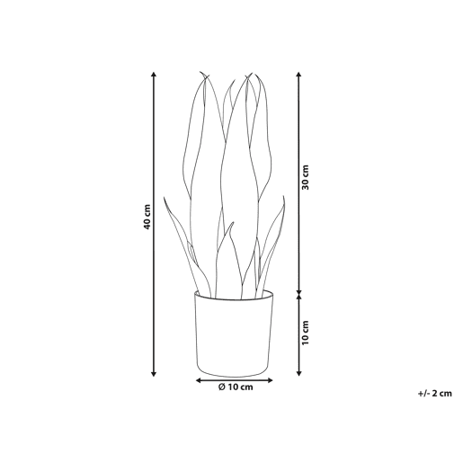 Beliani Planta artificial SNAKE PLANT Beliani Planta artificial SNAKE PLANT