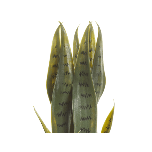 Beliani Planta artificial SNAKE PLANT Beliani Planta artificial SNAKE PLANT