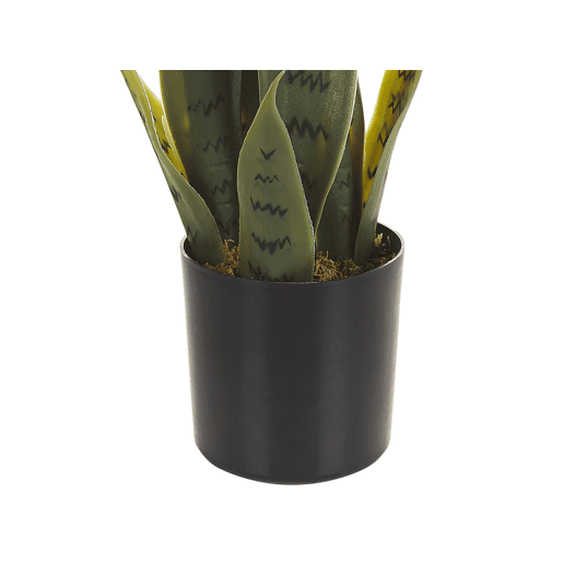 Beliani Planta artificial SNAKE PLANT Beliani Planta artificial SNAKE PLANT