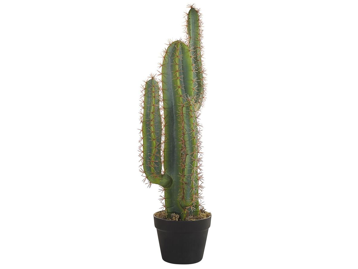 Beliani Planta artificial CACTUS