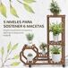 Estantería para Plantas Madera de Abeto Outsunny 30 Estantería para Plantas Madera de Abeto Outsunny 30 Marrón