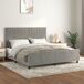 Estructura de cama 160x200 Estructura de cama 160x200 Gris Claro