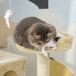 Árbol para Gato Tablero Madera Aglomerado, Felpa y Sisal PawHut Árbol para Gato Tablero Madera Aglomerado, Felpa y Sisal PawHut Beige