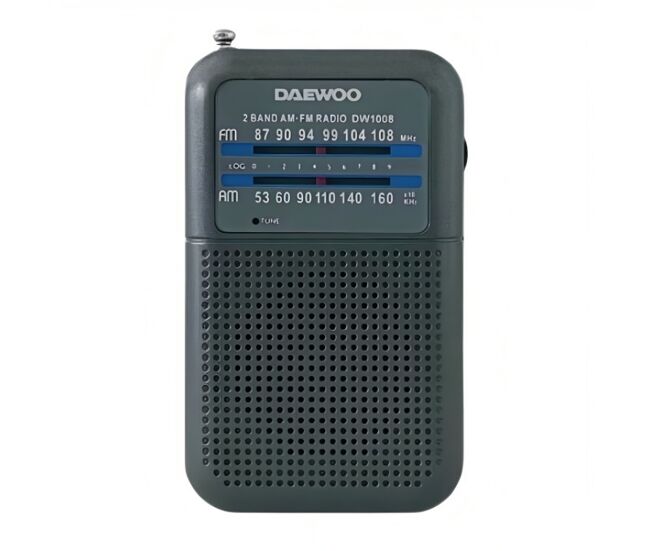 Radio portátil con altavoz dw1008