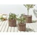 Beliani Conjunto de 3 macetas PENDULA Beliani Conjunto de 3 macetas PENDULA Marrón Claro