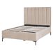 Beliani Cama con almacenaje Terciopelo SEZANNE 150x215 Beliani Cama con almacenaje Terciopelo SEZANNE 150x215 Gris
