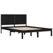 Estructura de cama 200x200 Estructura de cama 200x200 Blanco