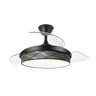 Cinza Cinza