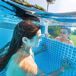 Piscina desmontable INTEX Prism Frame Clearview + depuradora Piscina desmontable INTEX Prism Frame Clearview + depuradora Gris