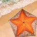 Aktive Sombrilla playa inclinable estrella de mar UV40 c/funda Aktive Sombrilla playa inclinable estrella de mar UV40 c/funda Verde