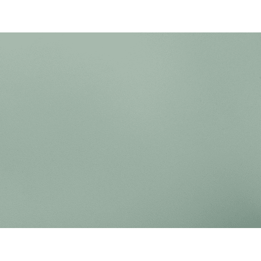 Conjunto de 2 cadeiras de jantar SOMERS Verde menta