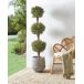 Beliani Planta artificial BUXUS BALL TREE Beliani Planta artificial BUXUS BALL TREE Verde