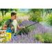 Pulverizador a Presión para Jardín Hobby Exclusiv Pulverizador a Presión para Jardín Hobby Exclusiv Azul