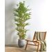 Beliani Planta artificial BAMBOO Beliani Planta artificial BAMBOO Verde