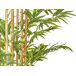 Beliani Planta artificial BAMBOO Beliani Planta artificial BAMBOO Verde