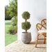 Beliani Planta artificial BUXUS BALL TREE Beliani Planta artificial BUXUS BALL TREE Verde