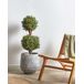 Beliani Planta artificial BUXUS BALL TREE Beliani Planta artificial BUXUS BALL TREE Verde