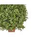 Beliani Planta artificial BUXUS BALL TREE Beliani Planta artificial BUXUS BALL TREE Verde
