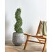 Beliani Planta artificial BUXUS SPIRAL TREE Beliani Planta artificial BUXUS SPIRAL TREE Verde