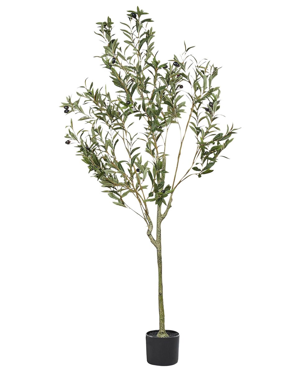 Beliani Planta artificial OLIVE TREE