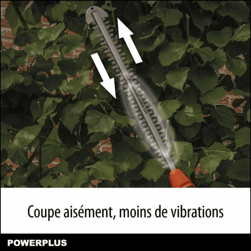 Corta-sebes Powerplus DualPower Powdpg75380 40 V