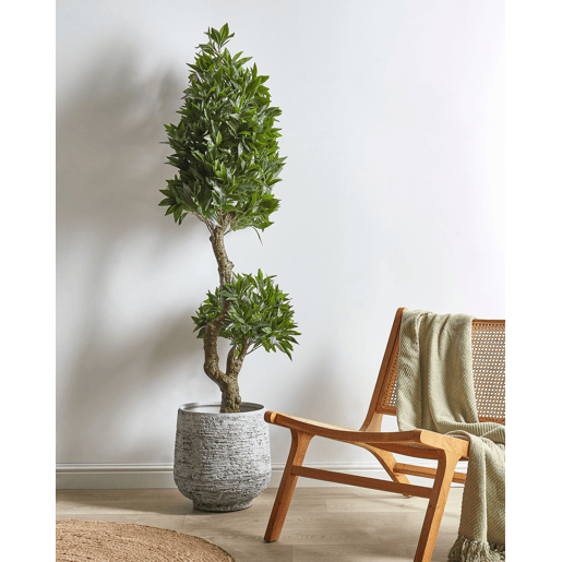Planta artificial LAURELE 160 cm Verde Planta artificial LAURELE 160 cm Verde