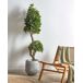 Beliani Planta artificial LAURELE Beliani Planta artificial LAURELE Verde