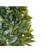 Beliani Planta artificial LAURELE Beliani Planta artificial LAURELE Verde